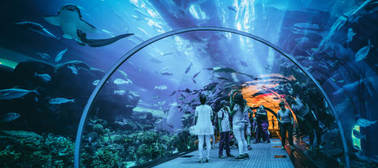 entrada-aquarium-bay-grid.jpg